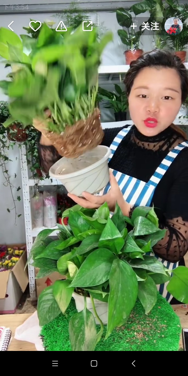 屡试不爽：教你如何把快手变成自己的副业