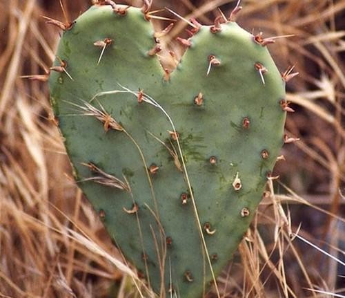 适合发微信朋友圈的爱情图片语录