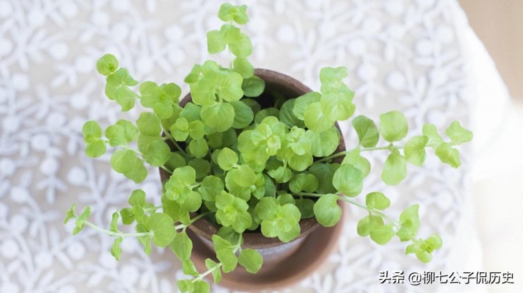 在微信里谈情说爱你仿佛看到了爱情最初的样子纯粹又美好！