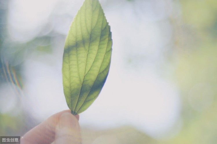 20个伤感爱情句子：一删微信便是永别愿你天黑有灯下雨有伞