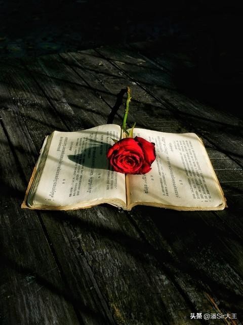 微信置顶句子爱情文案置顶语录情情爱爱的句子