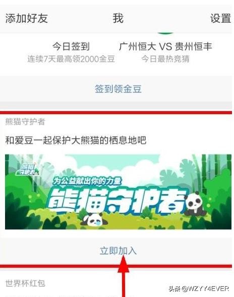 如何加入微博熊猫守护者熊猫怎样养成