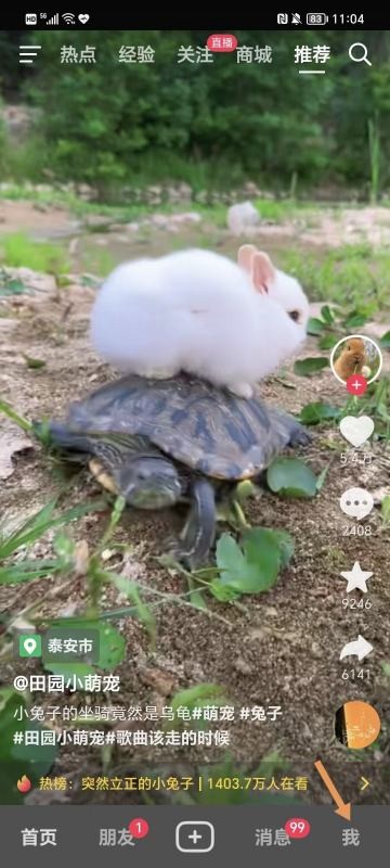 自己的抖音号在哪看