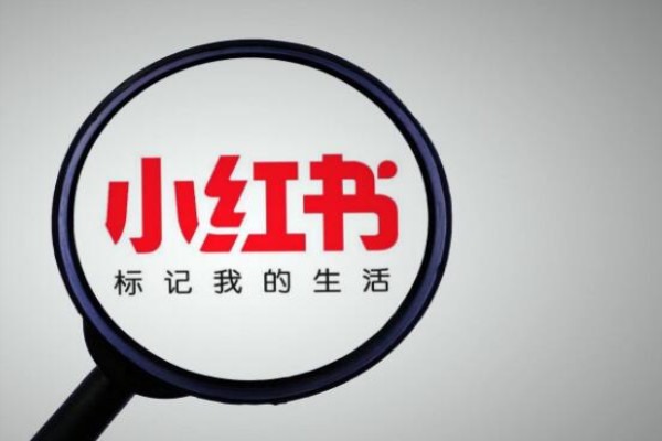 小红书账号被换绑还能找回吗?